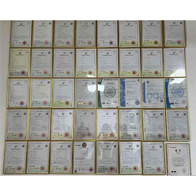 Kaixin certificate.jpg